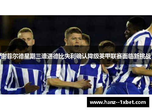 谢菲尔德星期三遭遇德比失利确认降级英甲联赛面临新挑战